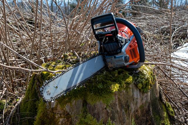 Beim Baumfällen geschah der Unfall. | Foto: David Rauscher (Symbolfoto)