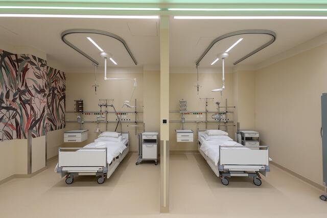 Foto: PremiQaMed Group/APA-Fotoservice/Tanzer