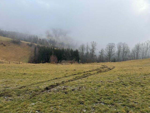 Auf dieser Wiese rutsche der Pkw in den Graben. | Foto: Feuerwehr Strassburg