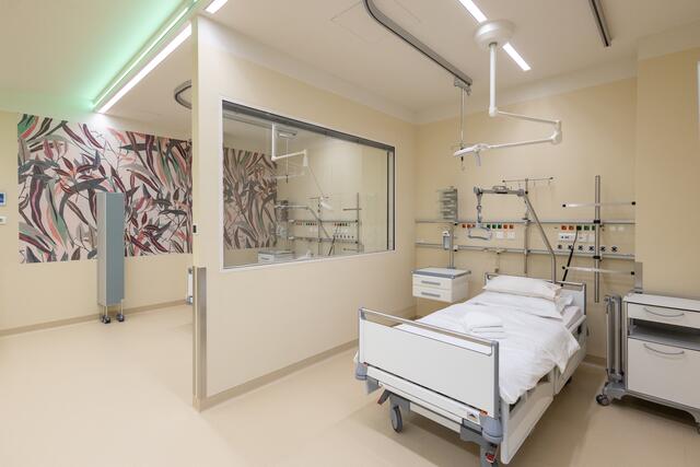 Foto: PremiQaMed Group/APA-Fotoservice/Tanzer