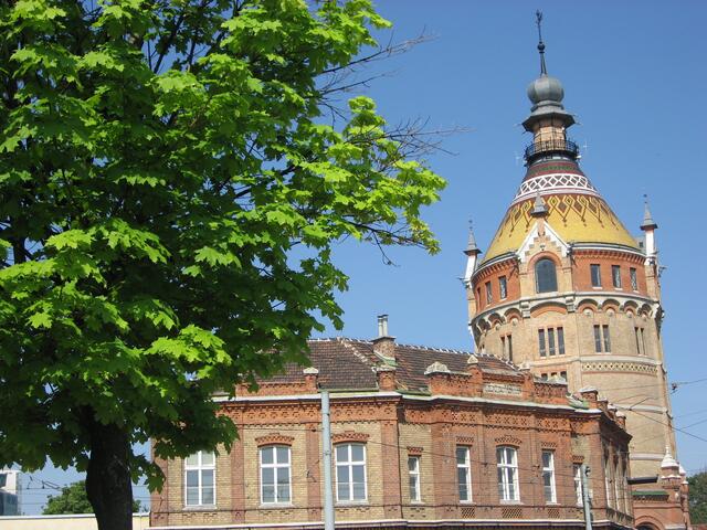 MeinBezirk hat sich unter den Leserinnen und Lesern in Favoriten umgehört. | Foto: Angelika Paulmayer