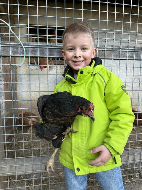 Jungbauer Thomas hat die Henne bei sich aufgenommen.  | Foto: ZOOM-Tirol