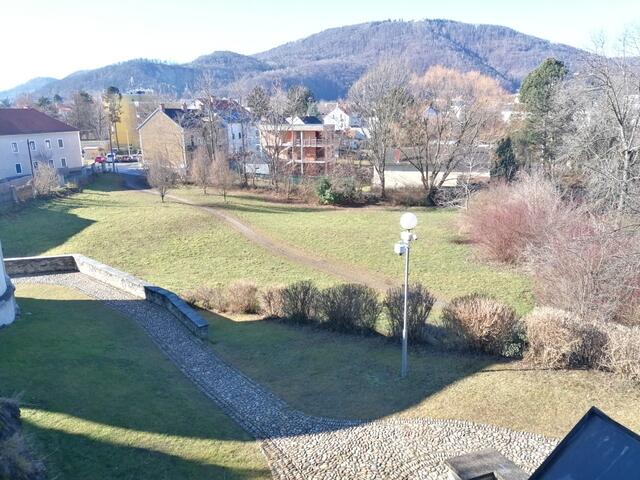 Im Süden der Wiese verläuft die Schippingerstraße, im Westen die Josef-Ornig-Straße. | Foto: Hager