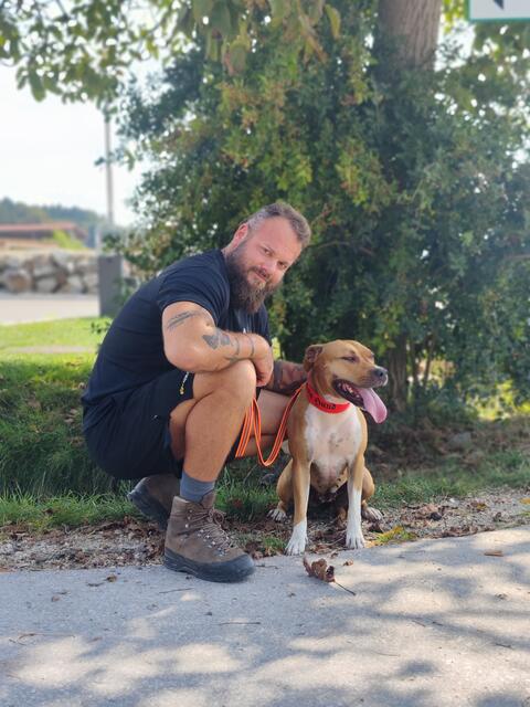 "Xena" wird demnächst an eine neue Besitzerin übergeben. | Foto: rg-dogs
