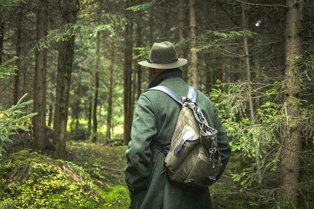 Das Kaisertal soll künftig durch einen Berufsjäger von der Stadt Kufstein selbst bewirtschaftet werden. (Symbolfoto) | Foto: Pixabay (Symbolfoto)