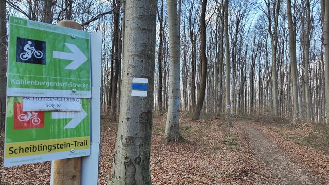 Im Winter ist das Mountainbiken im Wienerwald nicht erlaubt. Viele verstehen die Sperre nicht.  | Foto: MeinBezirk/Seebacher
