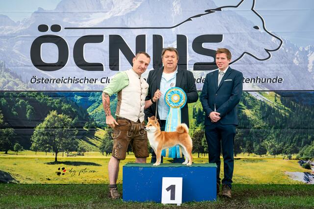 Ed Vorderleitner startet seit einem Jahr an Turnieren.  | Foto: dogfoto.com