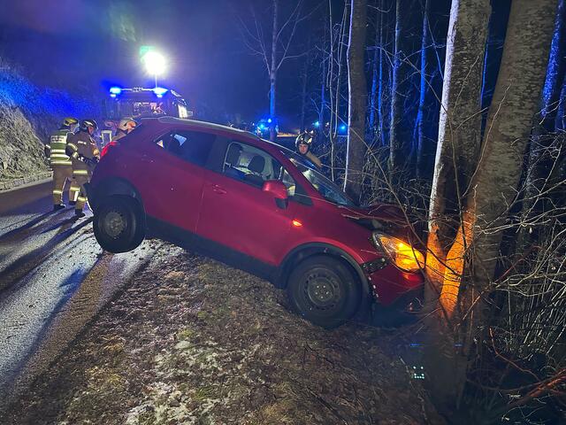 In Brandenberg kam in der Nacht auf Donnerstag ein 18-jähriger Probeführerscheinbesitzer mit seinem PKW von der Fahrbahn ab und prallte gegen einen Baum. Dabei erlitt er leichte Verletzungen. Ein durchgeführter Alkotest verlief positiv, woraufhin ihm der Führerschein abgenommen wurde. | Foto: ZOOM.TIROL