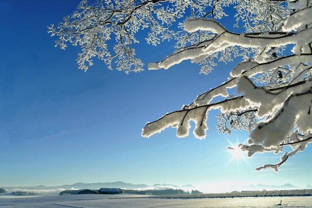 Sonnig und trocken wird es am Wochenende. | Foto: Doris Stemeseder