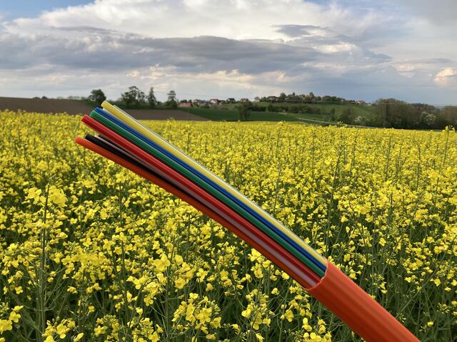 Glasfaser ist die Technologie der Zukunft. | Foto: BBOÖ