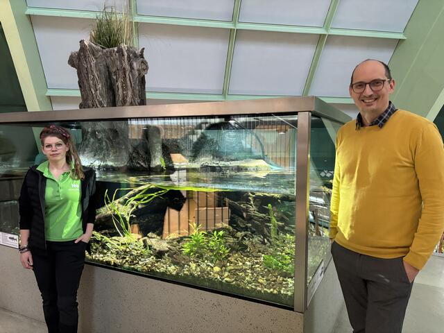 Marlene Zechel und Ronald Lintner zeigen beim "Tiergeflüster" im Haus für Natür St. Pölten die neuen Schneider-Fische | Foto: Lauren Seywald / MeinBezirk