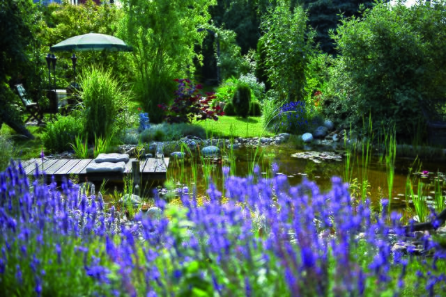 „Natur im Garten“ mit Vortrag: So hält der Garten dem Klimawandel Stand. | Foto: Natur im Garten / Alexander Haiden