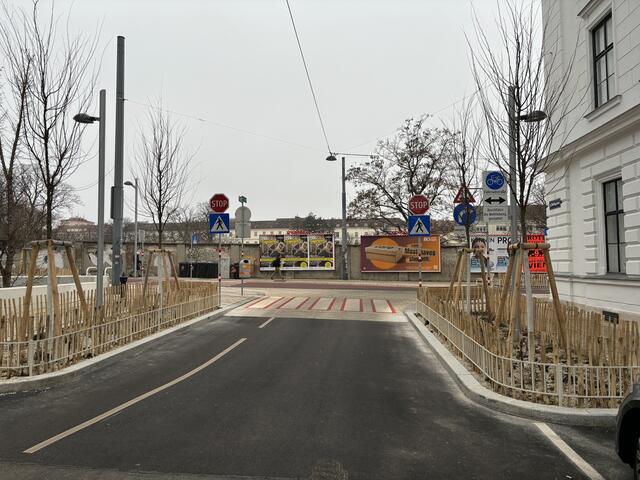 Ein Baum verdeckt das Rechtsabbiegegebot an der Ecke Plößlgasse/Argentinierstraße. Dies führt zu Falschabbiegern. | Foto: Nathanael Peterlini/MeinBezirk