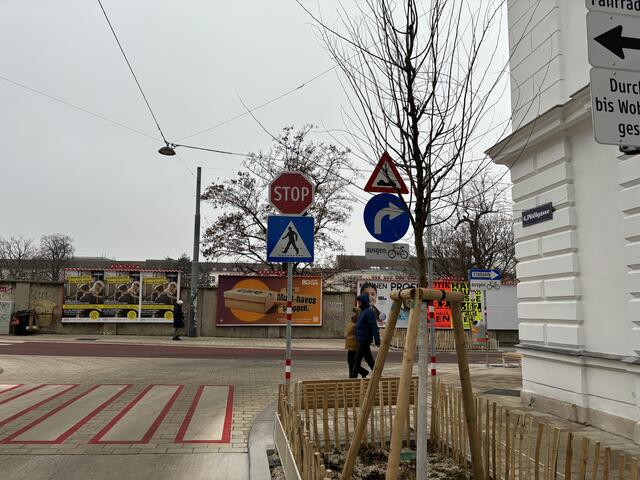 Der Anwohner ist besorgt, dass der Baum im Frühling das Schild komplett verdecke. | Foto: Nathanael Peterlini/MeinBezirk