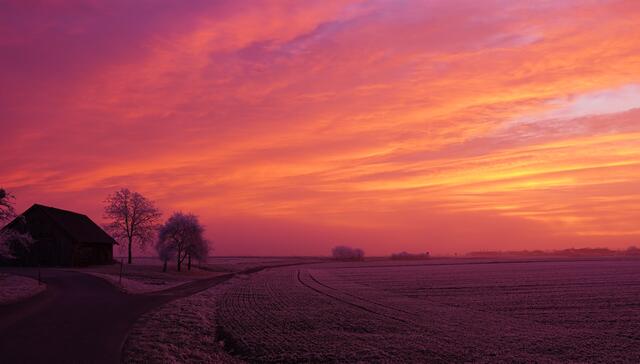 nach langen Nebeltagen wieder ein herrliches Morgenrot im Machland