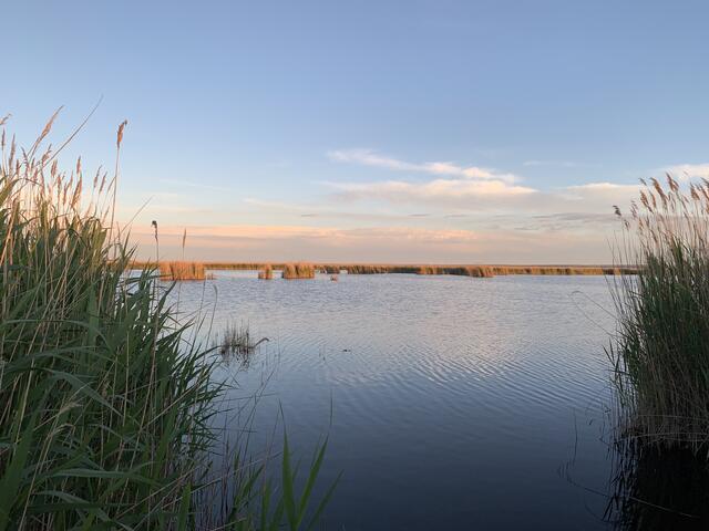 Die meisten Übernachtungen für das letzte Jahr wurden in Podersdorf verzeichnet. Mit 407.149 Nächtigungen liegt die Gemeinde unangefochten auf dem ersten Platz. | Foto: Kathrin Haider