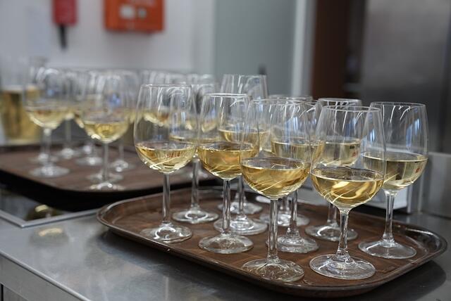 Foto: © Willi Pleschberger 2025