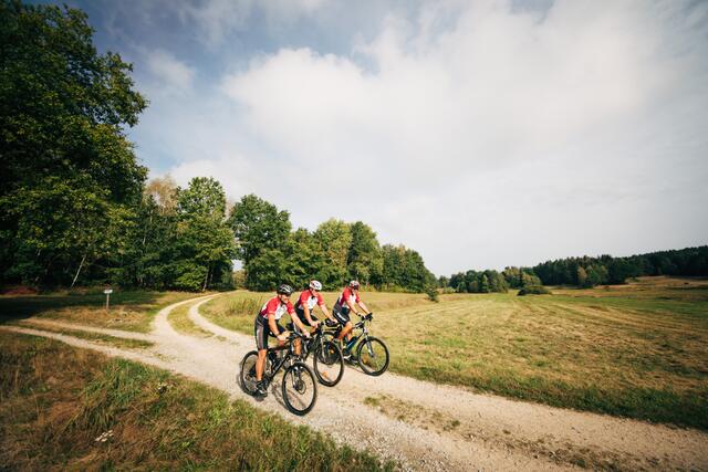 Der Iron Curtain Trail im Bezirk Gmünd. | Foto: Waldviertel Tourismus/Daniel Gollner