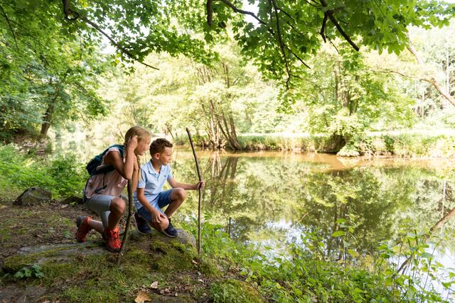Bei Raabs fließt die mährische Thaya. | Foto: Waldviertel Tourismus, Studio Kerschbaum