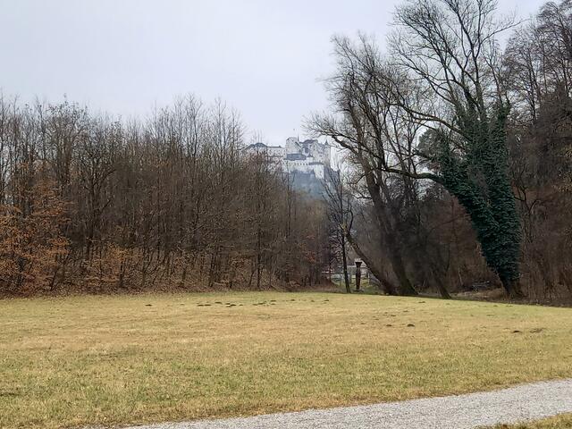 Foto: H. Bachinger