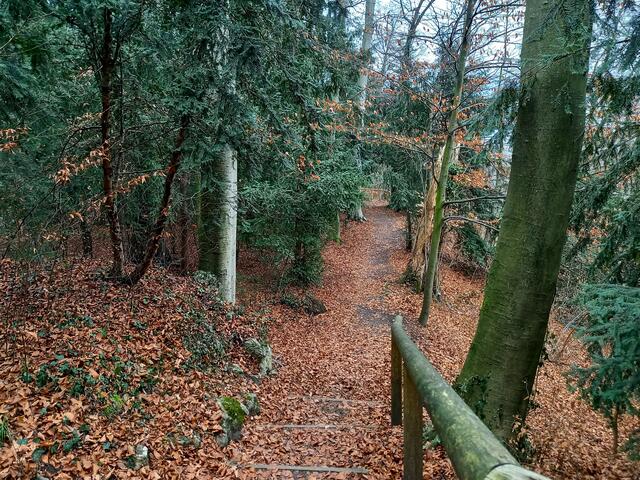 Foto: H. Bachinger