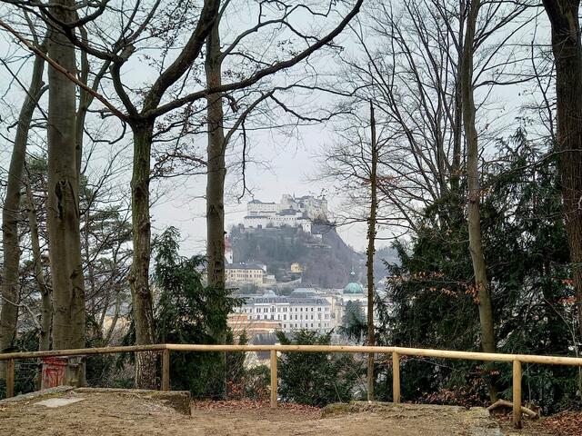 Foto: H. Bachinger