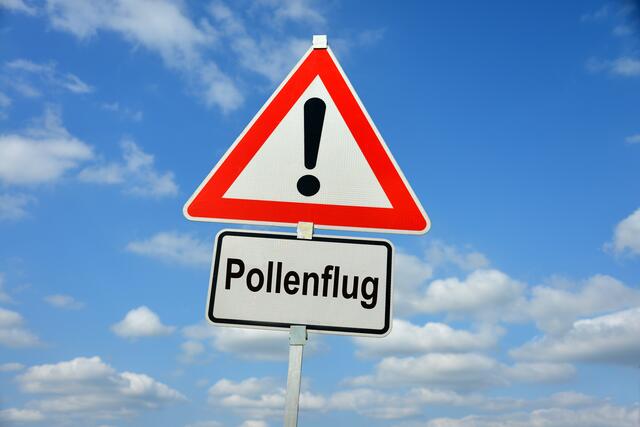 Pollenflug der Frühblüher steigt bis Ende der Woche an. | Foto: stock.adobe.com/at/nmann77