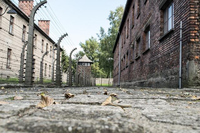 Seit dem Ende des 2. Weltkriegs sind mittlerweile 80 Jahre vergangen. Eine solch lange Zeit bringt oft eines mit sich, unzwar das Vergessen. Um genau dieses Vergessen zu verhindern und den Opfern des Krieges zu gedenken, gibt es in Niederösterreich verschiedenste Erinnerungsorte und Gedenkstätten. (Symbolfoto) | Foto: Pixabay/Larah Vidotto 
