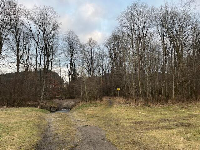 Die Au am Ampflwangerbach.   | Foto: Steiner-Watzinger