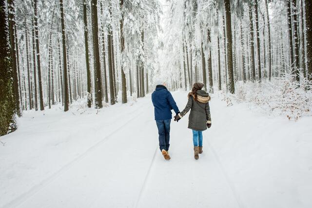 Mit jedem Schritt durch den Schnee wird die Winterwanderung in NÖ zu einem unvergesslichen Erlebnis. | Foto: Waldviertel Tourismus_Studio Kerschbaum