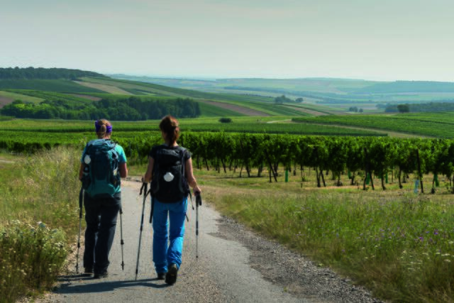 Foto: Weinviertel Tourismus / Reinhard Mandl