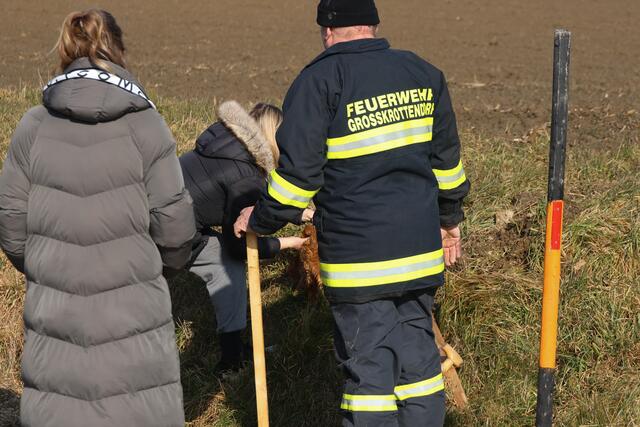 Die Feuerwehr konnte eine Katze durchnässt, aber wohlauf aus einem Kanalrohr in Offenhausen bergen. | Foto: laumat.at