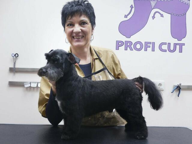 Als ursprünglich gelernte Friseurin und jahrelanges „Frauli“ von Hunden und Katzen war Barbara Kirners Weg schon lange vorgezeichnet. | Foto: Barbara Kirner