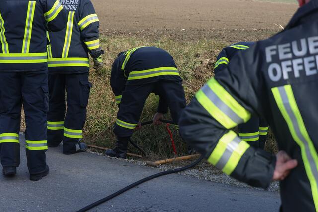 Die Feuerwehr konnte eine Katze durchnässt, aber wohlauf aus einem Kanalrohr in Offenhausen bergen. | Foto: laumat.at