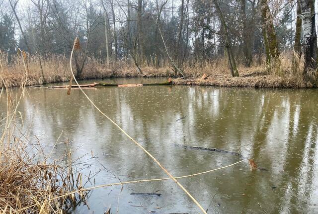 Bei der Piepsilacke in Ragnitz wird ein Acker angekauft und in eine Feuchtwiese umgewandelt. | Foto: Bruno Köllinger