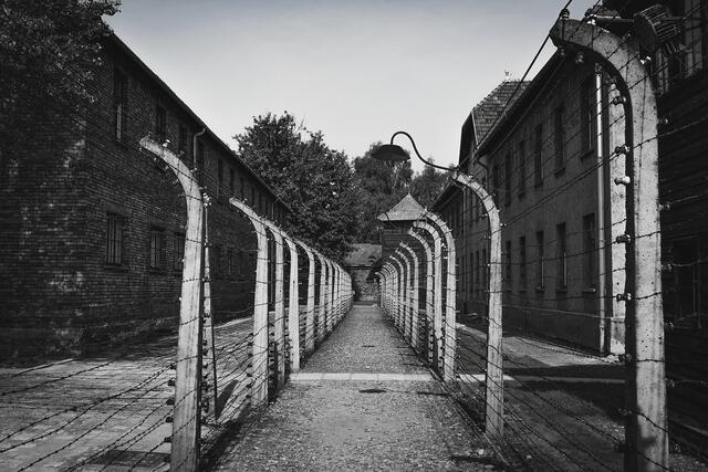 Der 2. Weltkrieg ist gekennzeichnet von Grausamkeiten gegenüber der Menschheit. Besonders die Konzentrationslager, aber auch die Verbrechen in den letzten Monaten des Krieges, welche in Niederösterreich begangen wurden, werden den Menschen noch lange in Erinnerung bleiben. (Symbolfoto) | Foto: Pixabay/Dimitris Vetsikas
