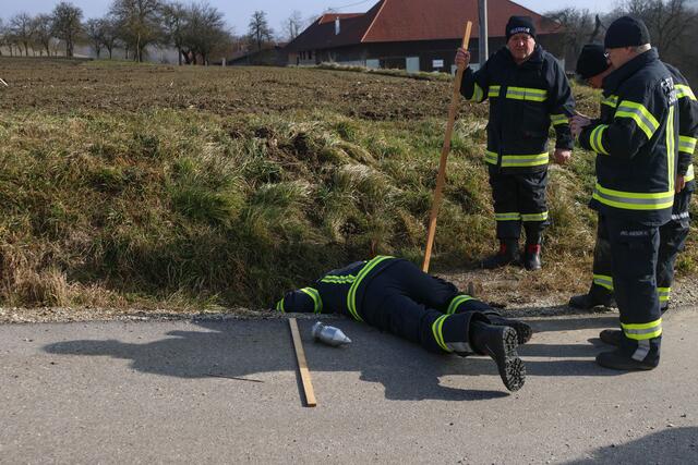 Die Feuerwehr konnte eine Katze durchnässt, aber wohlauf aus einem Kanalrohr in Offenhausen bergen. | Foto: laumat.at