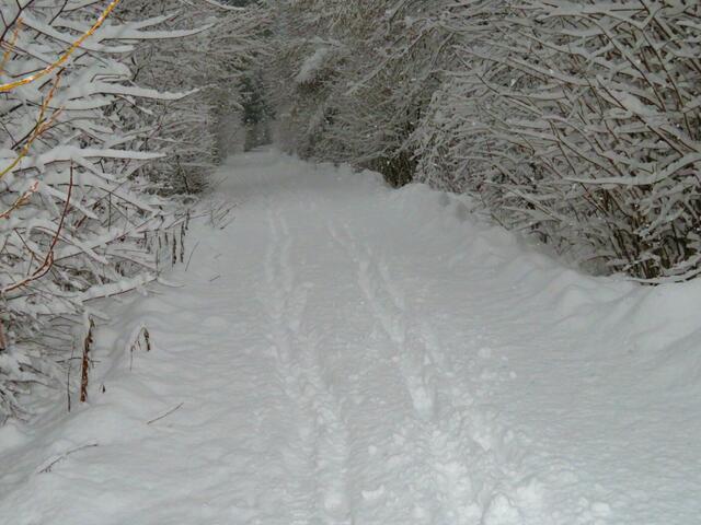 Am Montag am Abend geriet ein 74-Jähriger bei einer Bergwanderung im Bezirk Imst aufgrund der hohen Schneelage in eine alpine Notlage. Rund drei Stunden musste er ausharren, bis Hilfe ankam. | Foto: Archiv (Symbolbild)