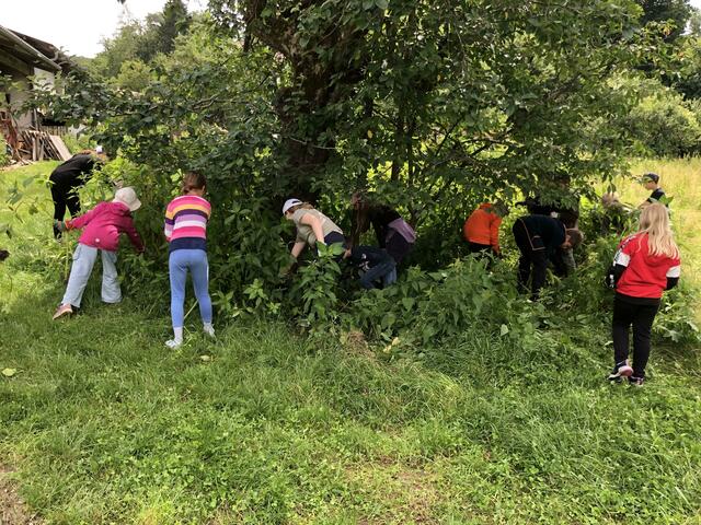 Neophytenwandertag der Volksschule Pirching am Traubenberg | Foto: KLAR! Stiefingtal