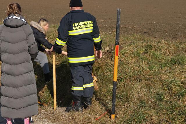 Die Feuerwehr konnte eine Katze durchnässt, aber wohlauf aus einem Kanalrohr in Offenhausen bergen. | Foto: laumat.at