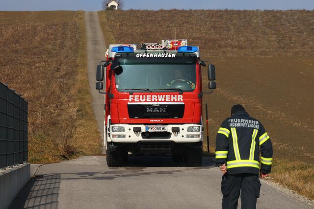 Die Feuerwehr konnte eine Katze durchnässt, aber wohlauf aus einem Kanalrohr in Offenhausen bergen. | Foto: laumat.at