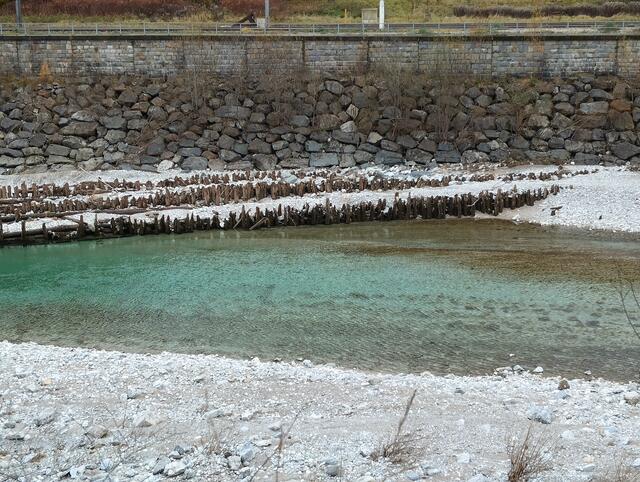 Erhalten gebliebene Pilotenreste der Gasteiger Rechens in der Enns bei Großreifling, erbaut um 1570 | Foto: Veronika Frank
