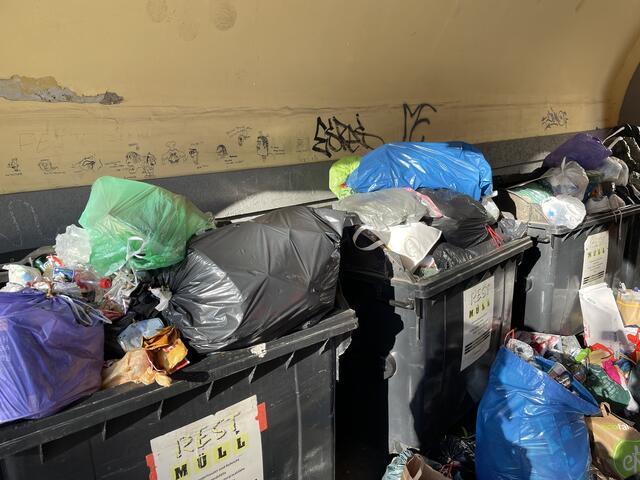 Nicht jeder Abfall gehört in die Restmülltonne. Rund 60 Prozent davon sind Fehlwürfe. Doch was passiert mit dem Abfall in der Schwarzen Tonne? | Foto: Julia Gerold