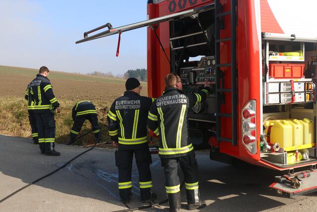 Die Feuerwehr konnte eine Katze durchnässt, aber wohlauf aus einem Kanalrohr in Offenhausen bergen. | Foto: laumat.at