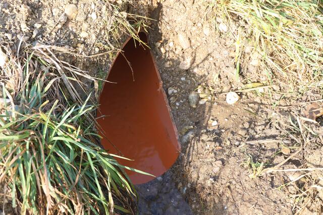 Die Feuerwehr konnte eine Katze durchnässt, aber wohlauf aus einem Kanalrohr in Offenhausen bergen. | Foto: laumat.at