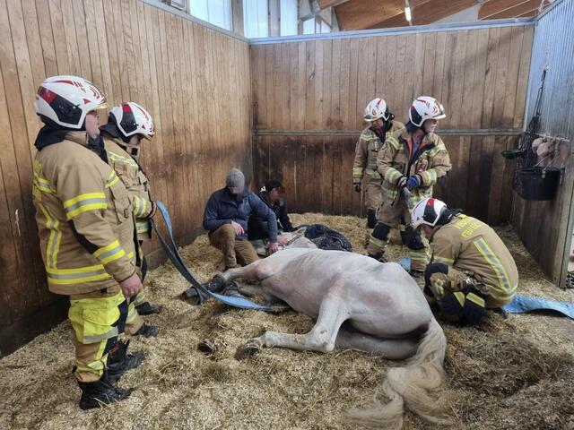 Ein Pferd musste von der Feuerwehr wieder auf die Beine gestellt werden. | Foto: Thomas Lenger/monatsrevue.at