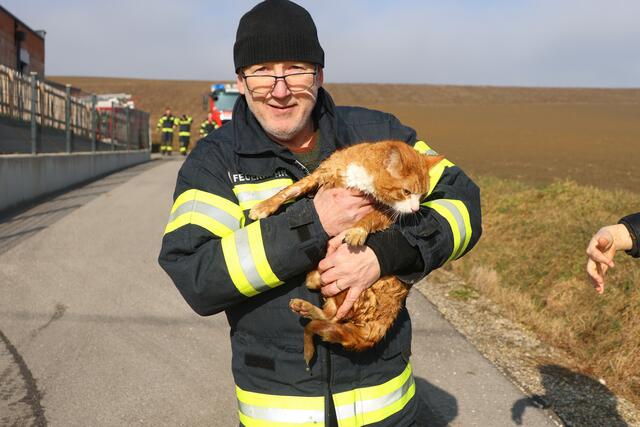 Die Feuerwehr konnte eine Katze durchnässt, aber wohlauf aus einem Kanalrohr in Offenhausen bergen. | Foto: laumat.at