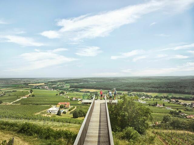 Der Radtourismus boomt im Südburgenland - auch rund um den Eisenberg mit dem "Weinblick". | Foto: Burgenland Tourismus/MaxonesPhoto