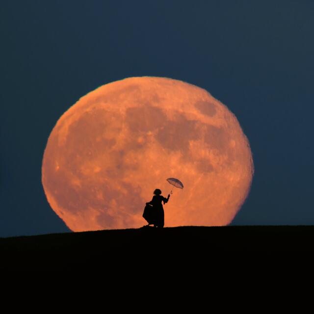 Unfassbar, was Fritz Bachner beim Erscheinen des Supervollmond am 16. November 2024 gelungen ist. Auf den Zentimeter vorausberechnet stand für ihn Renate Wachauer als „Nikolaus“ und „My Fair Lady“ am weit entfernten Horizont – und wie zuvor berechnet kam der Vollmond bei idealen Wetterbedingungen herauf. | Foto: Fritz Bachner
