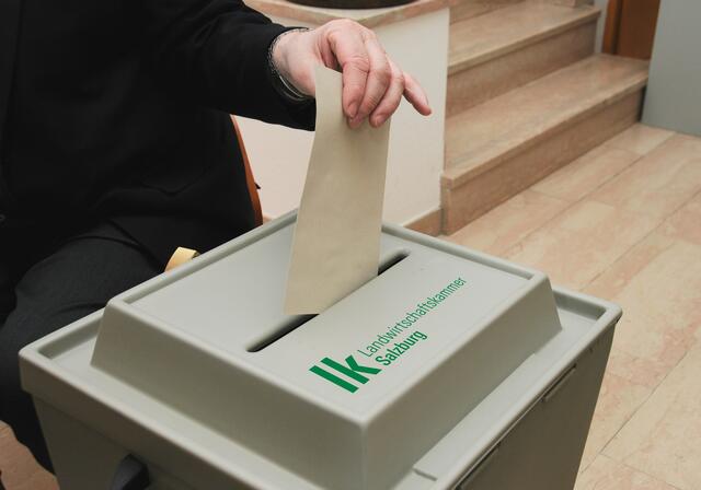 Die Salzburger Landwirtschaftskammer ruft zur Wahl auf. | Foto: LKSbg